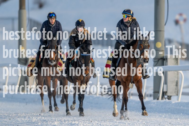 20230121-120140-DSC_8326