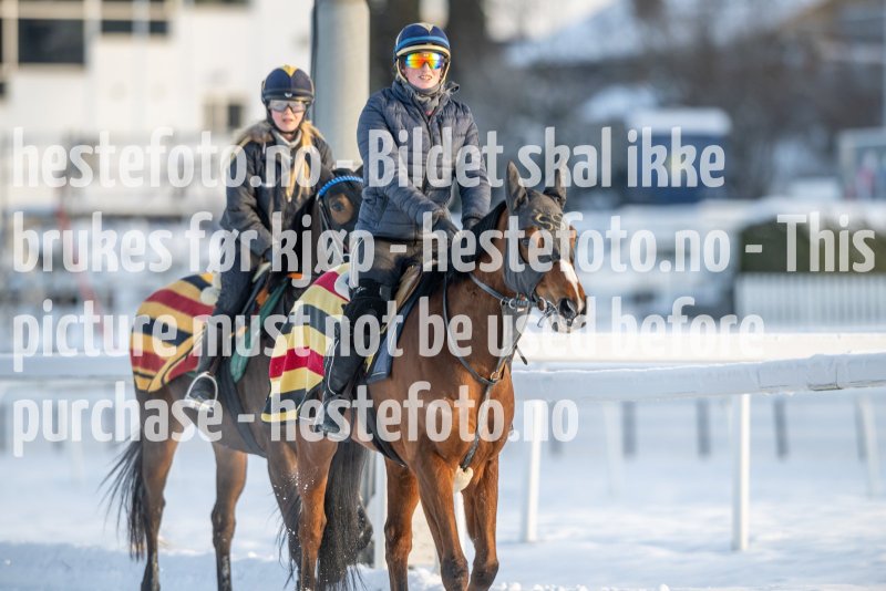 20230121-120155-DSC_8362