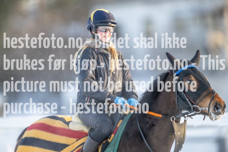 20230121-120211-DSC_8404