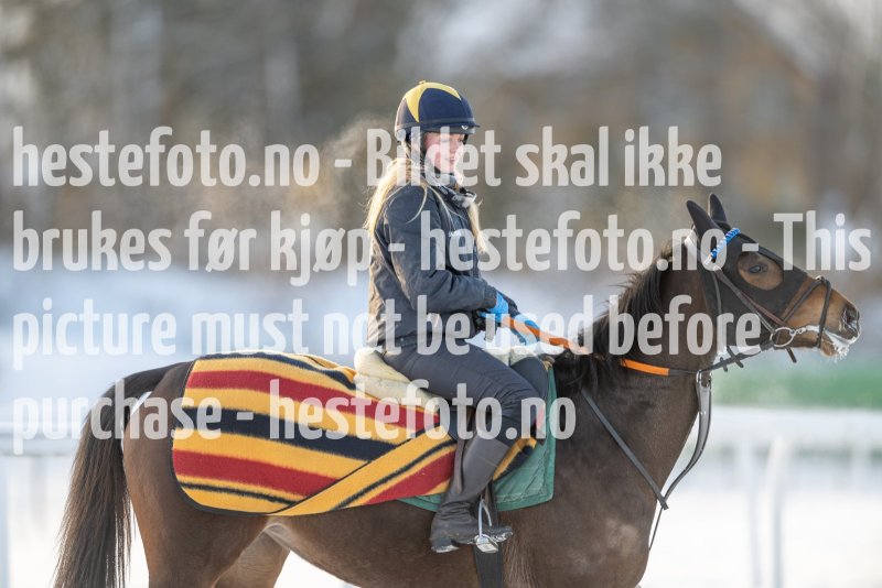 20230121-120232-DSC_8431
