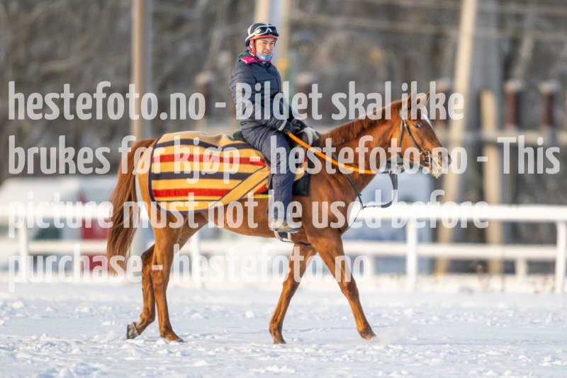 20230121-120252-DSC_8508