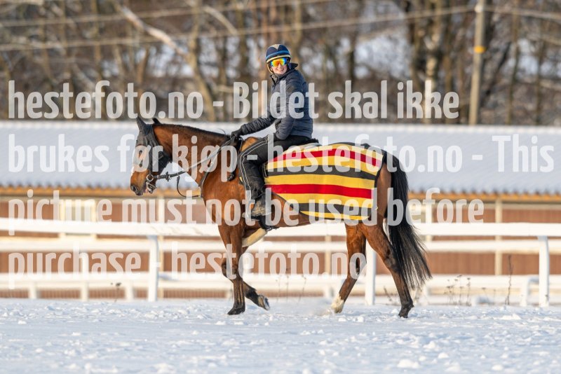 20230121-120343-DSC_8579