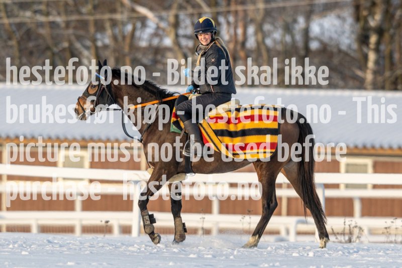 20230121-120346-DSC_8591