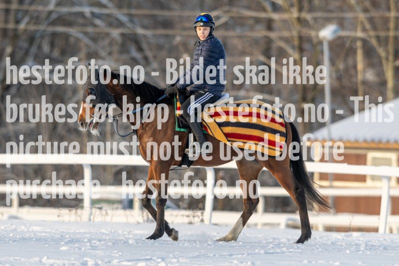 20230121-120354-DSC_8603