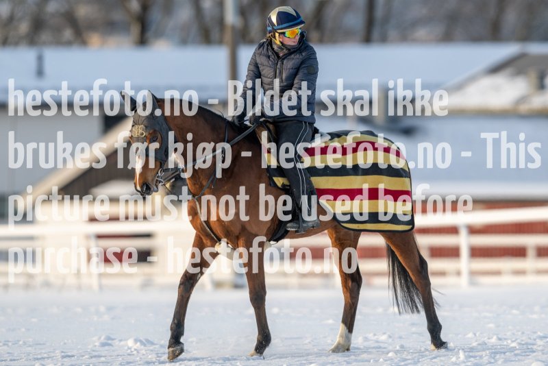 20230121-120433-DSC_8614