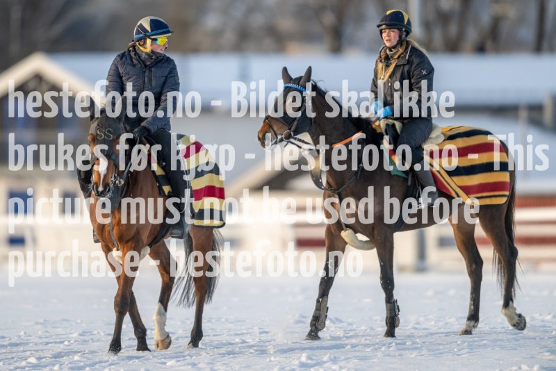 20230121-120436-DSC_8624