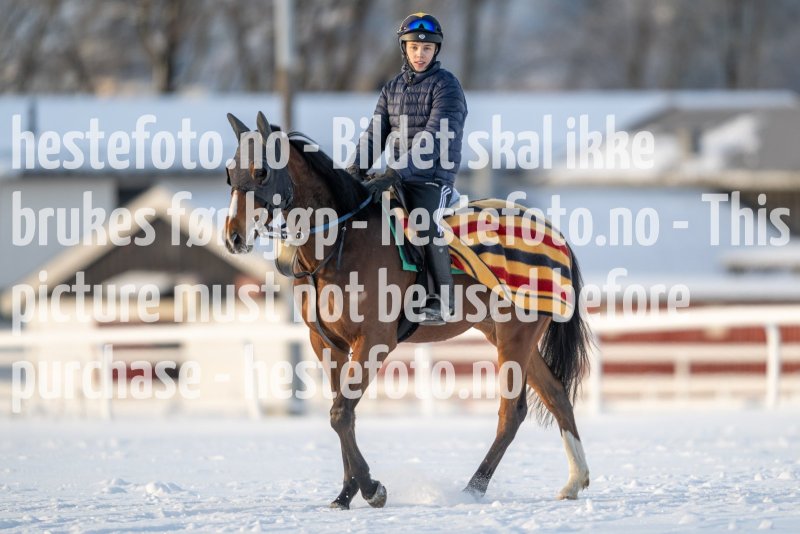 20230121-120441-DSC_8639