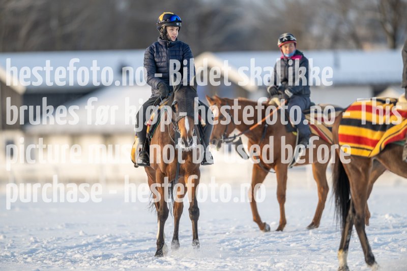 20230121-120447-DSC_8664