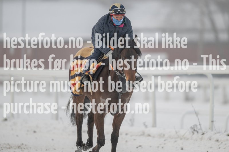 20230121-130919-DSC_8932