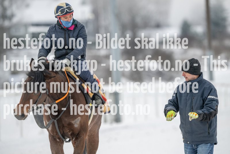 20230121-131250-DSC_9173
