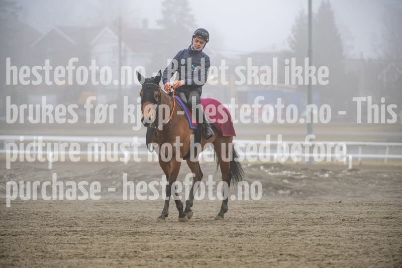 20260321-092502-DSC_7612