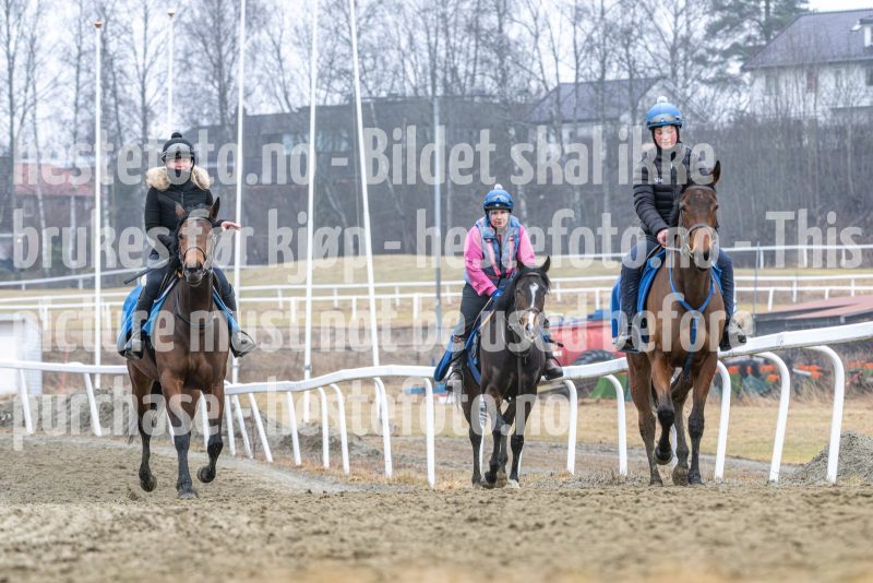 20260321-101259-DSC_8221