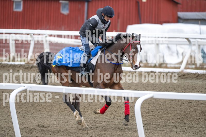 20260321-101853-DSC_8547