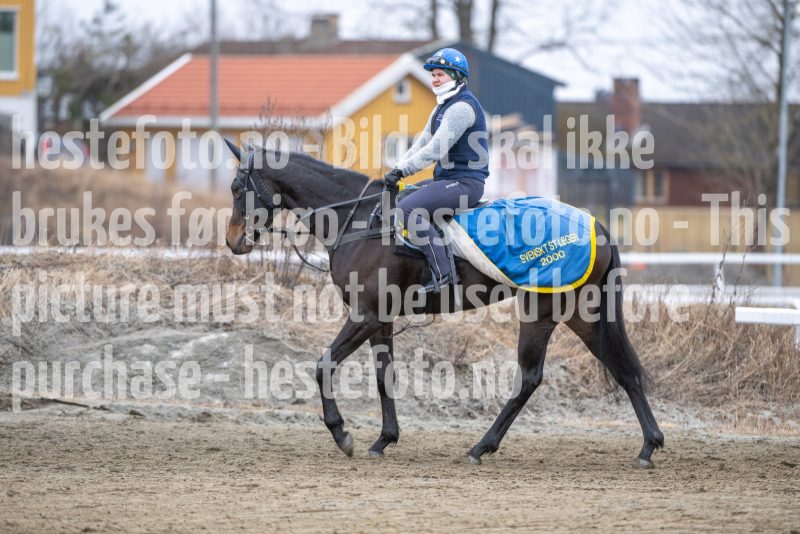 20260321-101926-DSC_8603