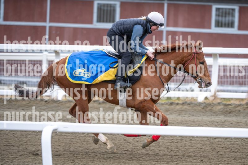 20260321-101939-DSC_8684