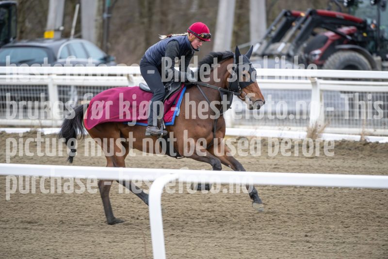 20260321-102314-DSC_9095