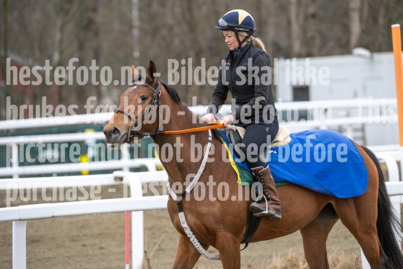 20260321-103013-DSC_9790