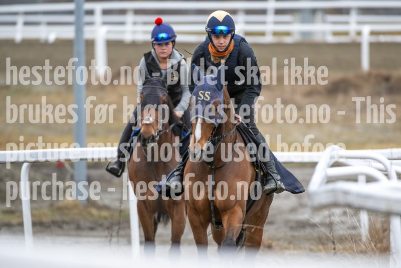 20260321-103413-DSC_0082