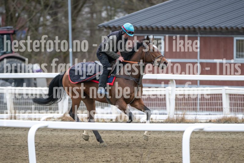 20260321-104213-DSC_0883