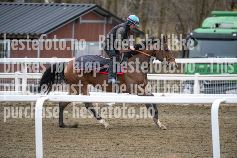 20260321-104215-DSC_0910