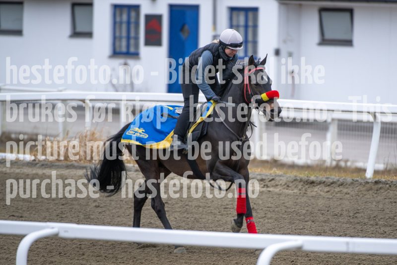 20260321-112017-DSC_1262