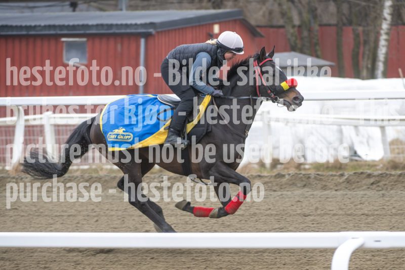 20260321-112233-DSC_1513