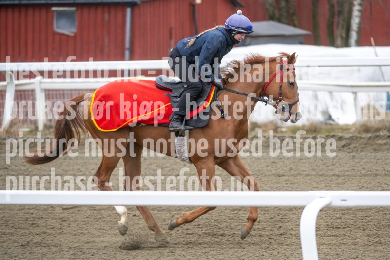 20260321-112400-DSC_1688