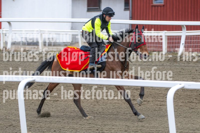 20260321-112411-DSC_1751