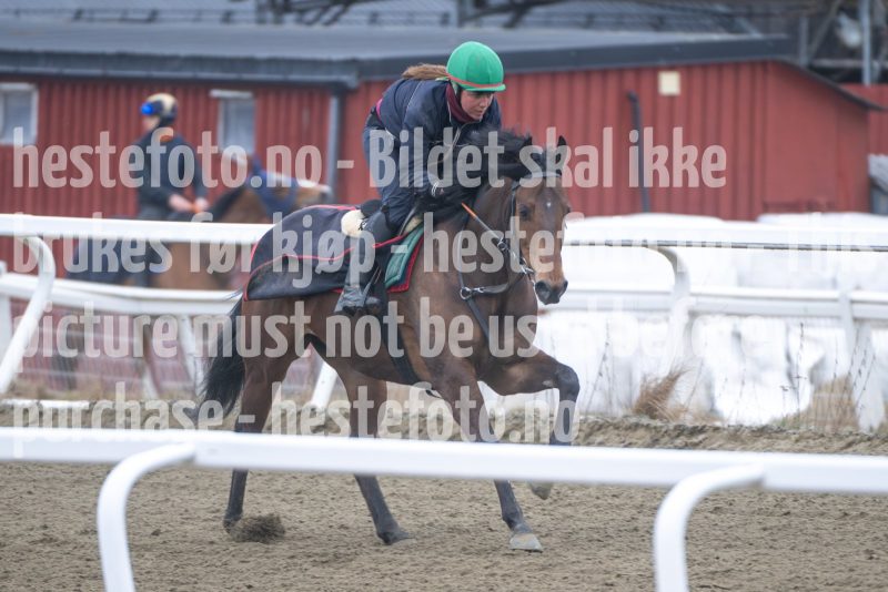 20260321-113103-DSC_2013