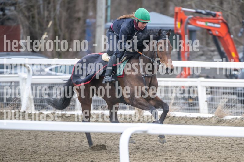 20260321-113105-DSC_2032