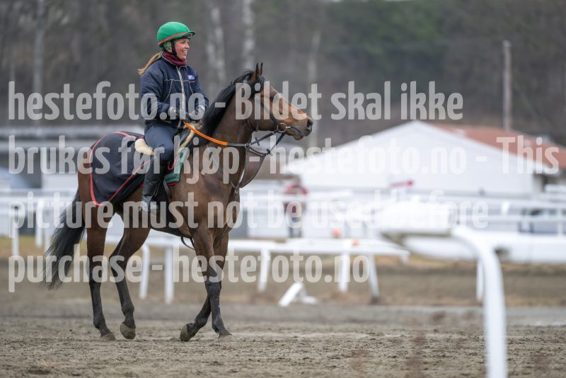 20260321-113401-DSC_2246