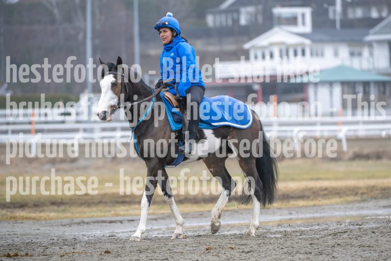 20260321-113426-DSC_2256