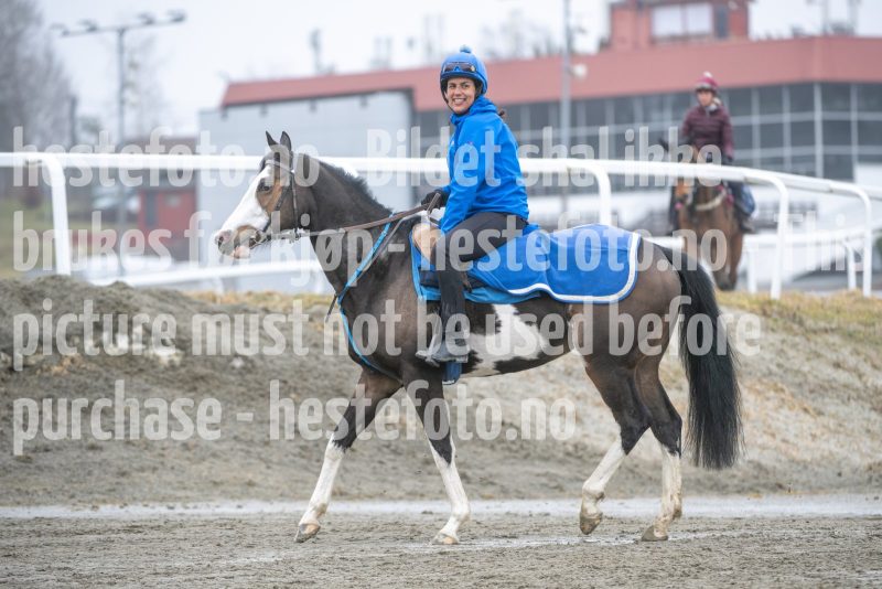 20260321-113432-DSC_2292