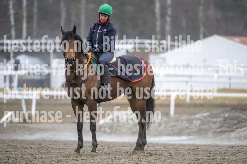 20260321-113551-DSC_2353