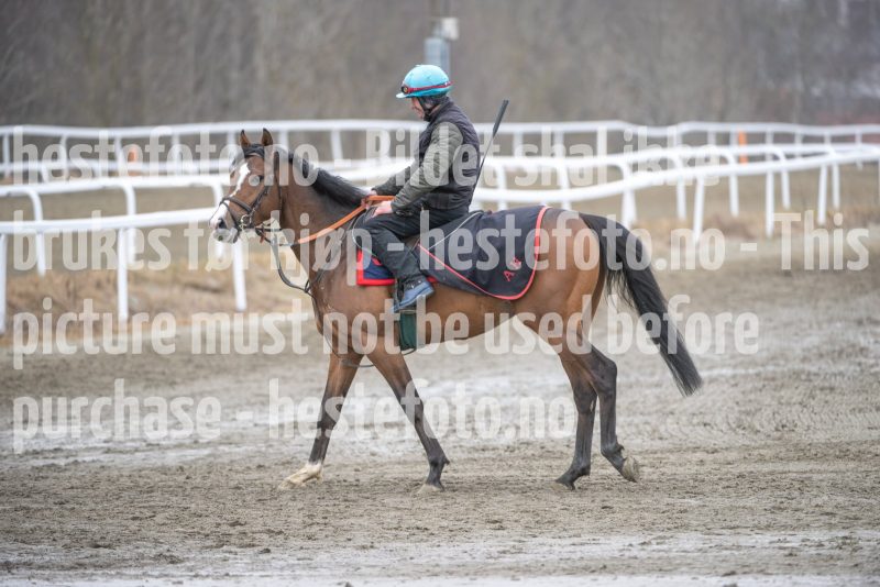 20260321-114145-DSC_2778