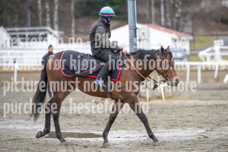 20260321-123321-DSC_2805