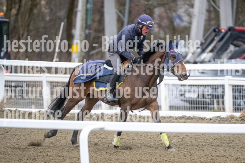 20260321-124236-DSC_3250