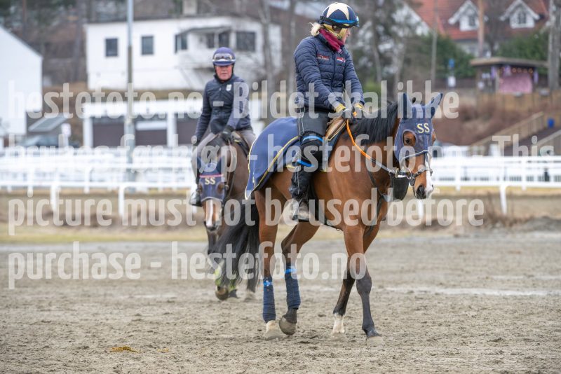 20260321-124552-DSC_3364