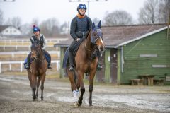 20260321-104007-DSC_0880