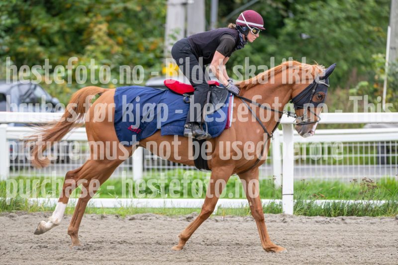 20240921-092552-DSC_2211