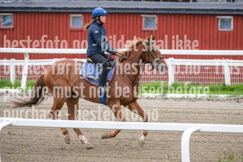 20240921-112837-DSC_4278