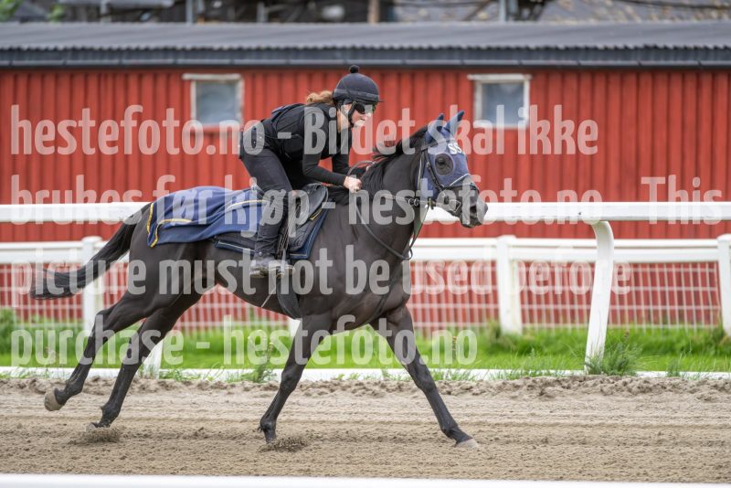 20240921-112913-DSC_4344