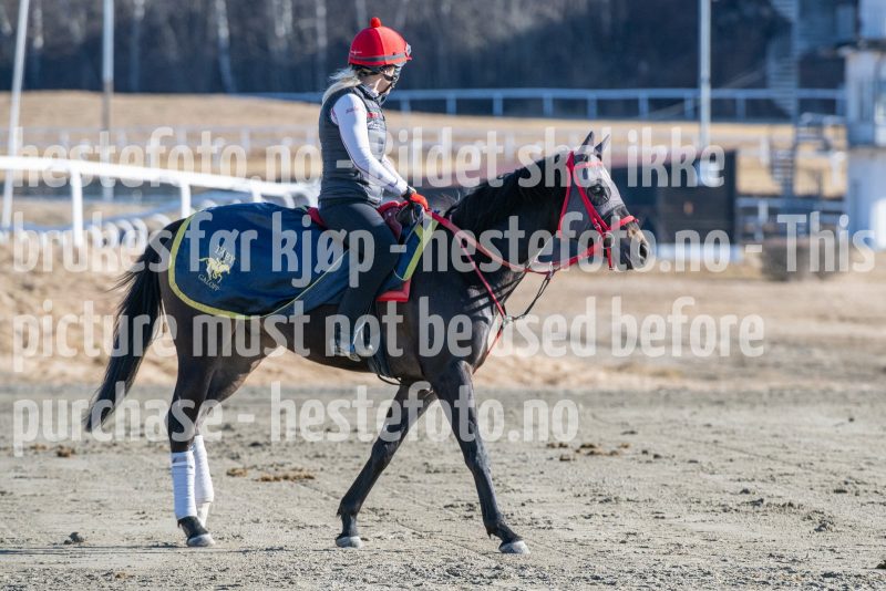 20250322-103445-DSC_4909