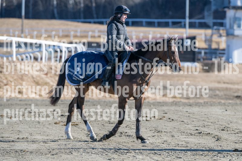 20250322-103448-DSC_4913