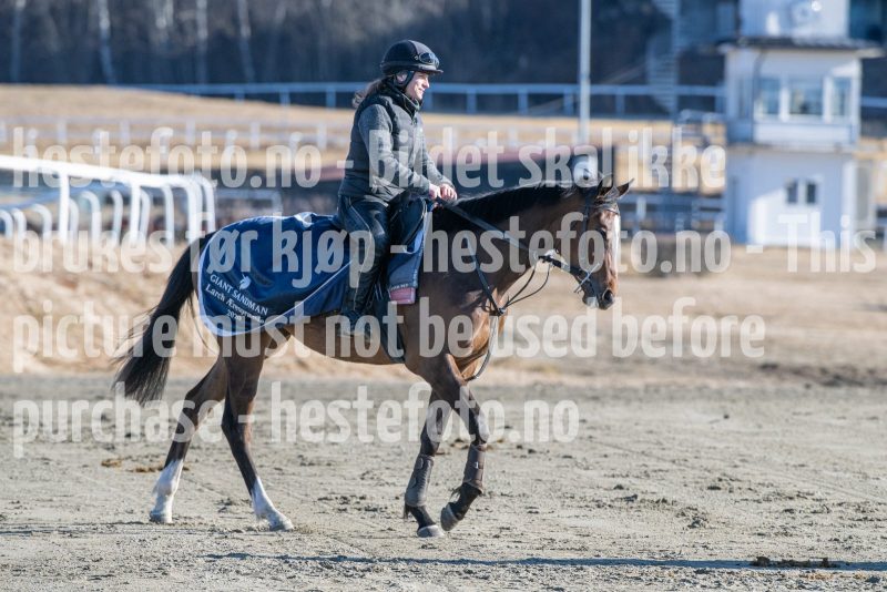 20250322-103448-DSC_4917