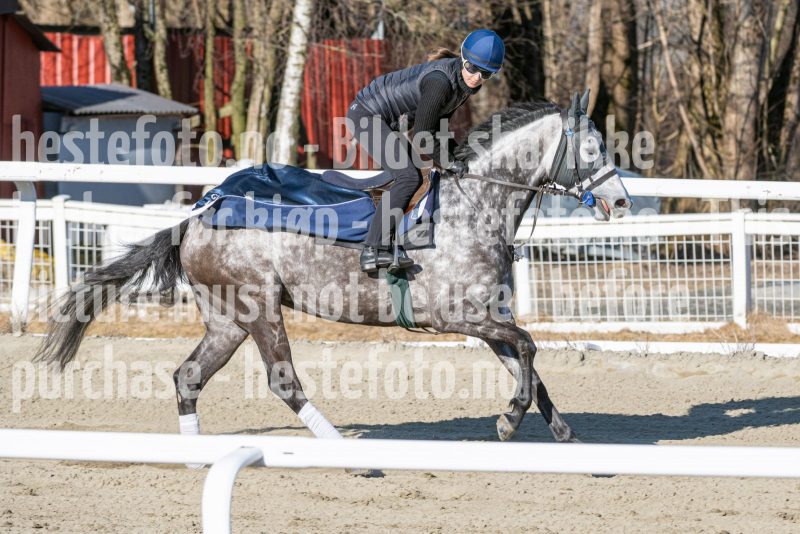 20250322-103702-DSC_5001
