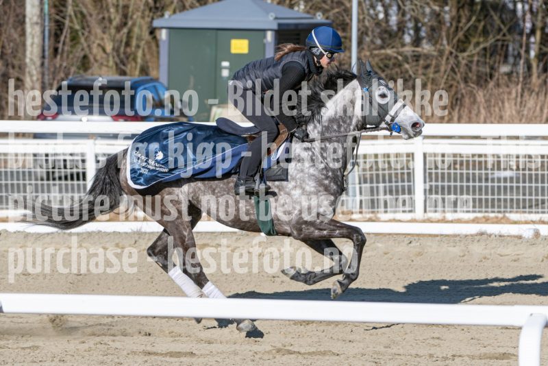 20250322-103916-DSC_5236