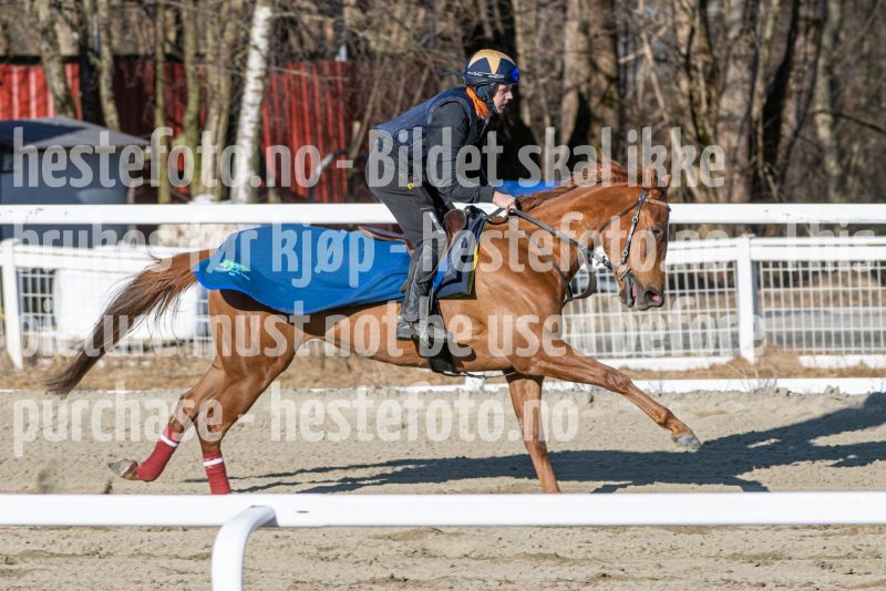 20250322-103921-DSC_5263