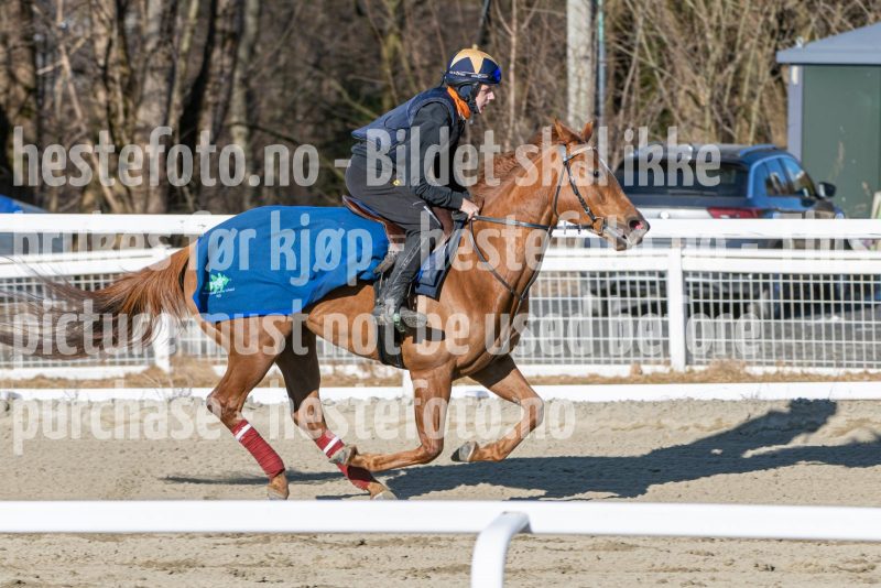 20250322-103921-DSC_5268