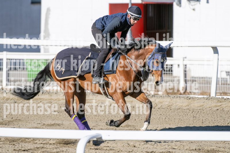 20250322-104010-DSC_5432